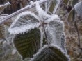 /album/fotogaleria/zzzzzzzzzz-jpg/