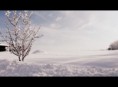 /album/zima-2012-2013/a2-jpg/
